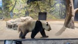 恩賜上野動物園に投稿された画像（2025/12/19）