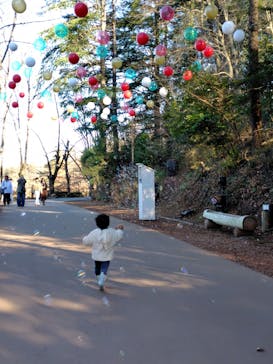 ムーミンバレーパークに投稿された画像（2025/12/19）