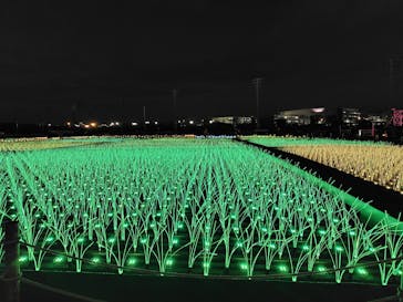 東京メガイルミに投稿された画像（2025/12/19）