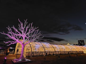 東京メガイルミに投稿された画像（2025/12/19）