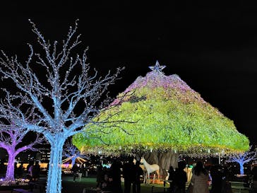 東京メガイルミに投稿された画像（2025/12/19）