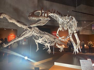 特別展「大絶滅展―生命史のビッグファイブ」に投稿された画像（2025/12/19）