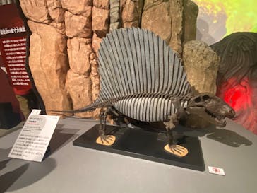 特別展「大絶滅展―生命史のビッグファイブ」に投稿された画像（2025/12/19）
