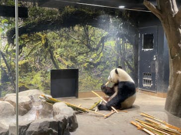 恩賜上野動物園に投稿された画像（2025/12/19）