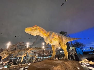 福井県立恐竜博物館に投稿された画像（2025/12/19）