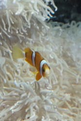 環境水族館アクアマリンふくしまに投稿された画像（2025/12/19）