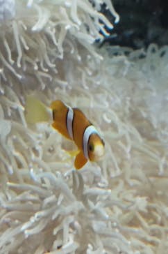 環境水族館アクアマリンふくしまに投稿された画像（2025/12/19）