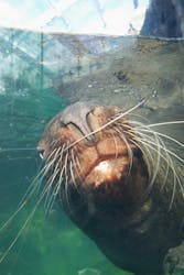 環境水族館アクアマリンふくしまに投稿された画像（2025/12/19）