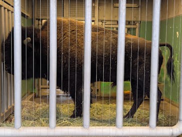 恩賜上野動物園に投稿された画像（2025/12/19）