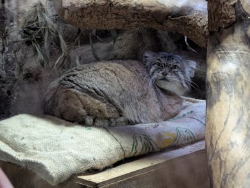 恩賜上野動物園に投稿された画像（2025/12/19）