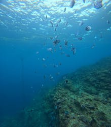 青の洞窟専門店　沖縄ダイビングショップ和に投稿された画像（2025/12/19）