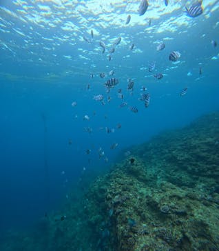 青の洞窟専門店　沖縄ダイビングショップ和に投稿された画像（2025/12/19）