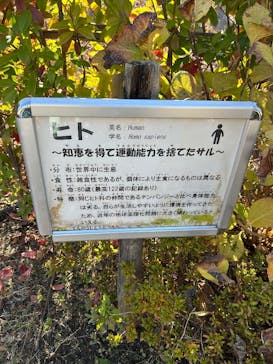 天王寺動物園に投稿された画像（2025/12/19）