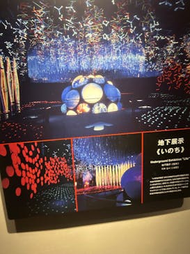 万博記念公園に投稿された画像（2025/12/19）