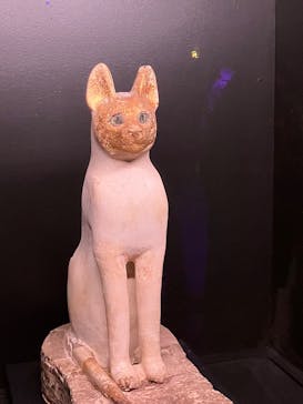 ACN ラムセス大王展 ファラオたちの黄金に投稿された画像（2025/12/19）