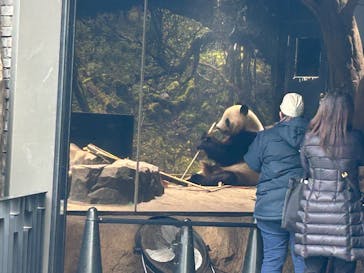 恩賜上野動物園に投稿された画像（2025/12/19）