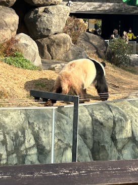 恩賜上野動物園に投稿された画像（2025/12/19）
