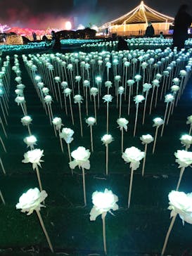 東京メガイルミに投稿された画像（2025/12/19）