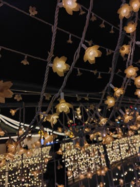 東京メガイルミに投稿された画像（2025/12/19）