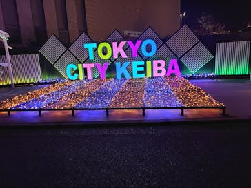 東京メガイルミに投稿された画像（2025/12/19）