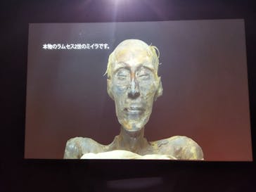 ACN ラムセス大王展 ファラオたちの黄金に投稿された画像（2025/12/19）