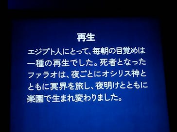 ACN ラムセス大王展 ファラオたちの黄金に投稿された画像（2025/12/19）