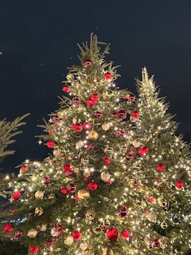 Christmas Market in 横浜赤レンガ倉庫 2025に投稿された画像（2025/12/19）