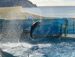新江ノ島水族館に投稿された画像（2025/12/19）