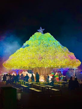 東京メガイルミに投稿された画像（2025/12/19）