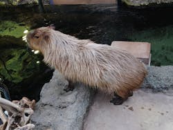 栃木県なかがわ水遊園に投稿された画像（2025/12/19）