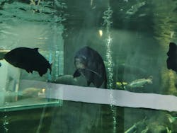 栃木県なかがわ水遊園に投稿された画像（2025/12/19）