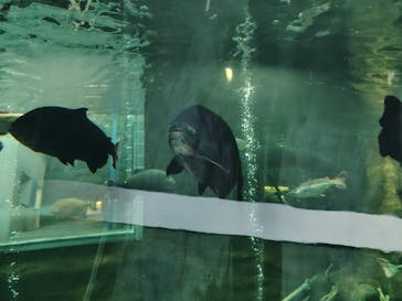 栃木県なかがわ水遊園に投稿された画像（2025/12/19）