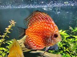 栃木県なかがわ水遊園に投稿された画像（2025/12/19）