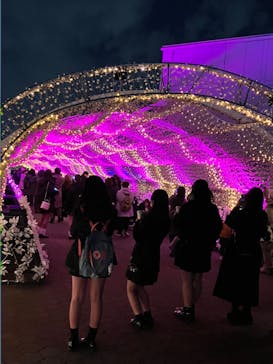 東京メガイルミに投稿された画像（2025/12/19）