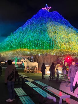 東京メガイルミに投稿された画像（2025/12/19）