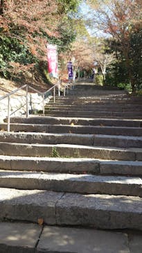 唐津城に投稿された画像（2025/12/19）