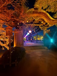 NAKEDヨルマイリ 2025-26 平安神宮に投稿された画像（2025/12/19）