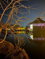 NAKEDヨルマイリ 2025-26 平安神宮に投稿された画像（2025/12/19）