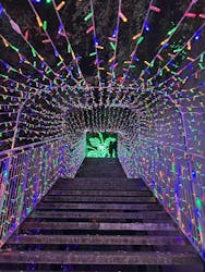 アクロス福岡イルミネーションに投稿された画像（2025/12/19）