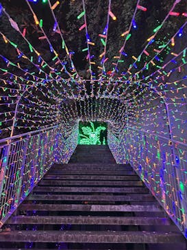 アクロス福岡イルミネーションに投稿された画像（2025/12/19）