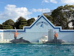 しながわ水族館に投稿された画像（2025/12/19）