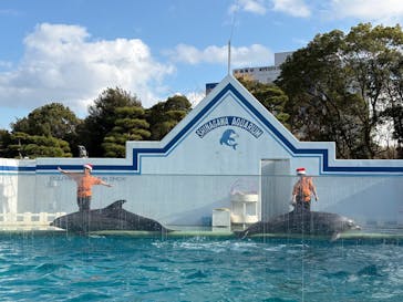 しながわ水族館に投稿された画像（2025/12/19）