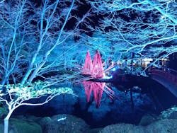 日本庭園　由志園に投稿された画像（2025/12/19）