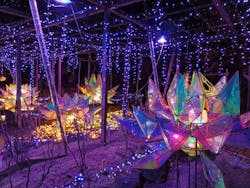 日本庭園　由志園に投稿された画像（2025/12/19）