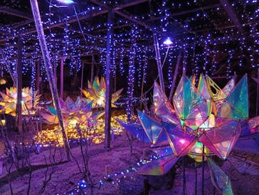 日本庭園　由志園に投稿された画像（2025/12/19）