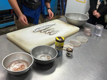 しながわ水族館に投稿された画像（2025/12/19）