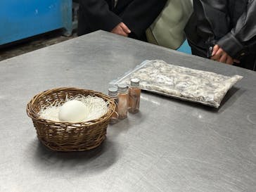 しながわ水族館に投稿された画像（2025/12/19）