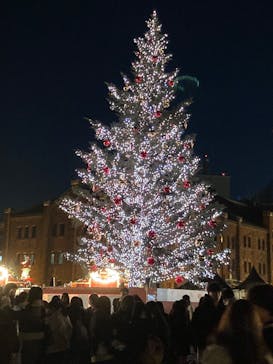 Christmas Market in 横浜赤レンガ倉庫 2025に投稿された画像（2025/12/19）