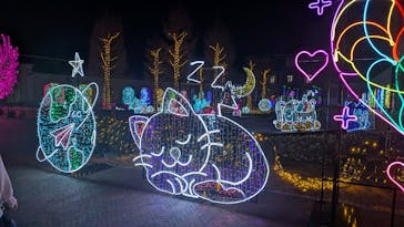 神戸イルミナージュに投稿された画像（2025/12/19）