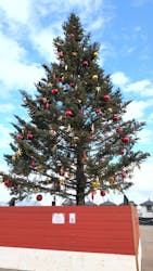 Christmas Market in 横浜赤レンガ倉庫 2025に投稿された画像（2025/12/19）